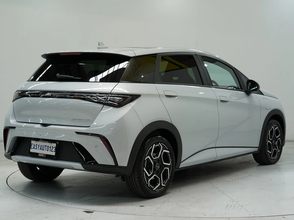 2025 Byd Dolphin Premium Electric Automatic