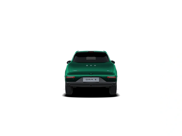 2026 Great Wall Motors Ora Green Hatch Automatic